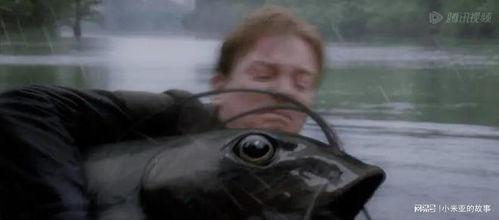 大鱼电影,探寻深海奇遇，揭秘海洋奥秘